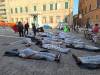 Flash mob jesi8